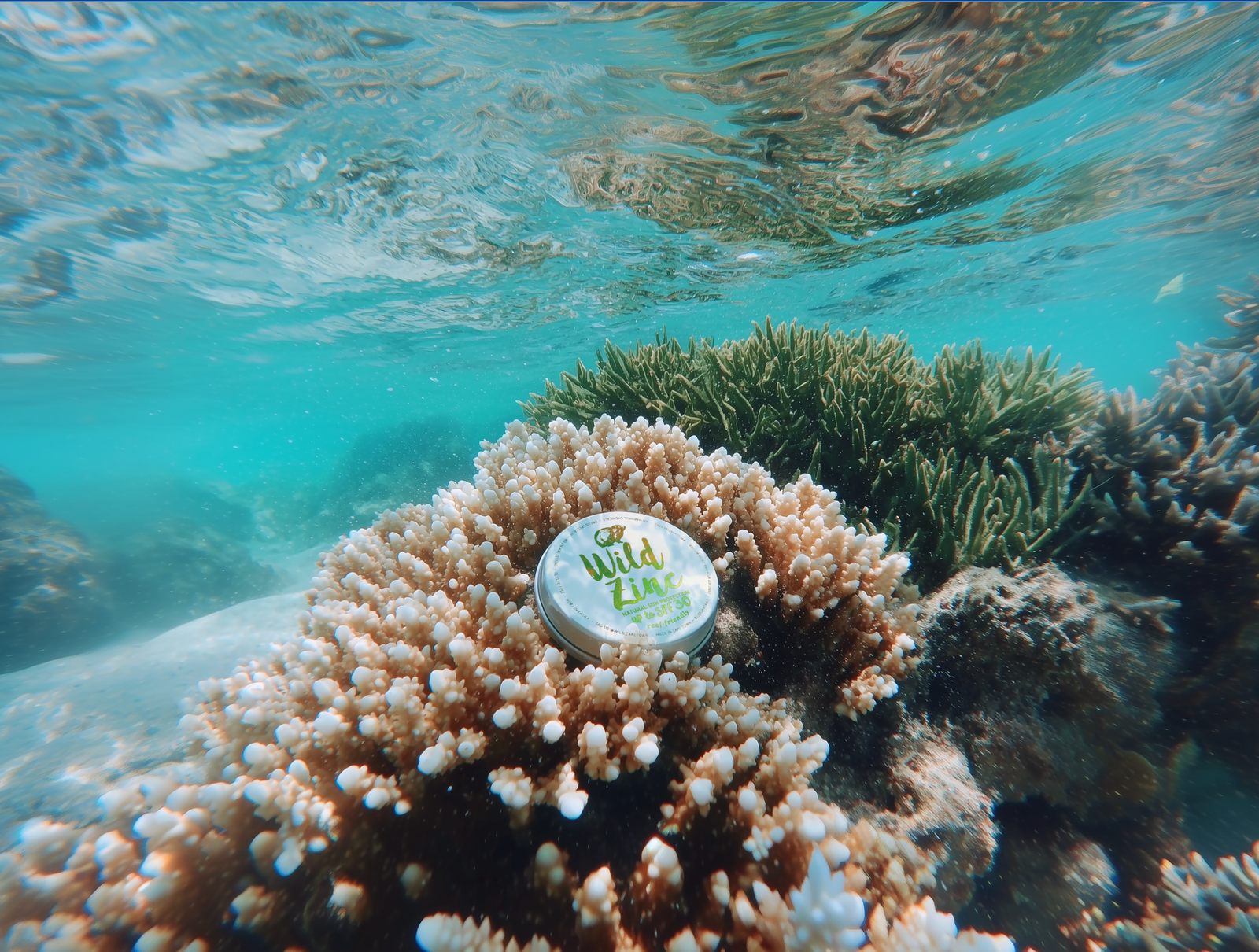 Why Using Mineral Sunblock Is Essential for Protecting Coral Reefs and Marine Life